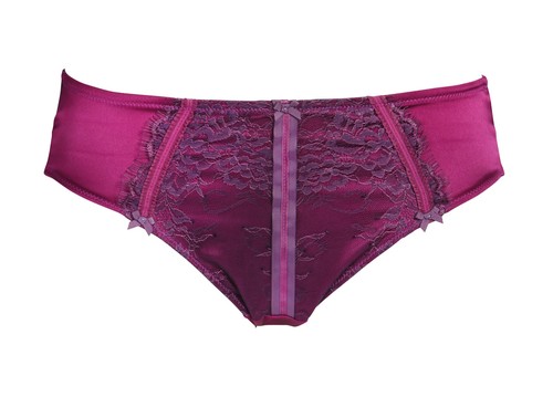 Tara raspberry brief - tara,